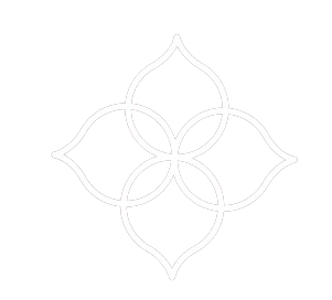 MVT Logo