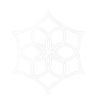 MVT Logo