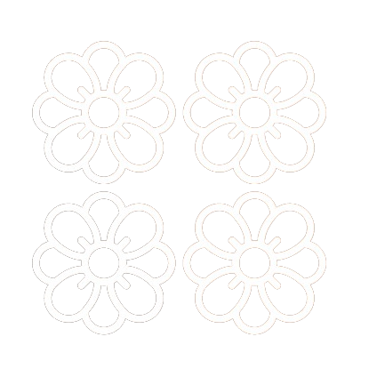MVT Logo