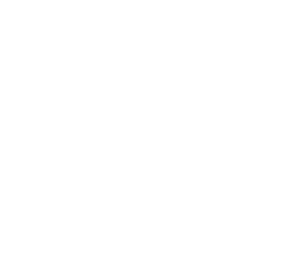 MVT Logo