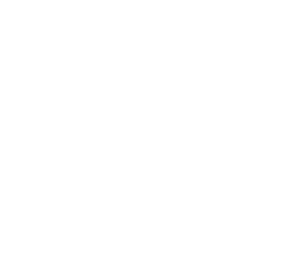 MVT Logo