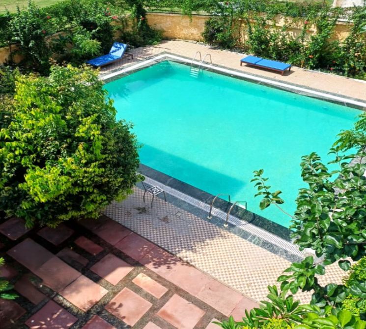 Garden view